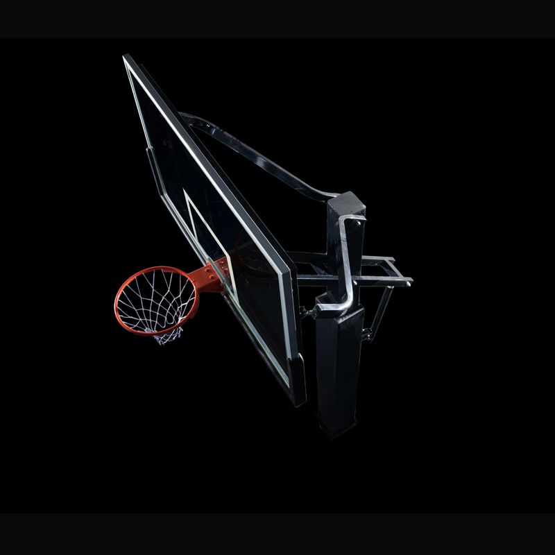 전문가용 매립형 농구 골대 야외 맞춤형 농구대 높이 조 - Basketball Hoop 리뷰 및 가격